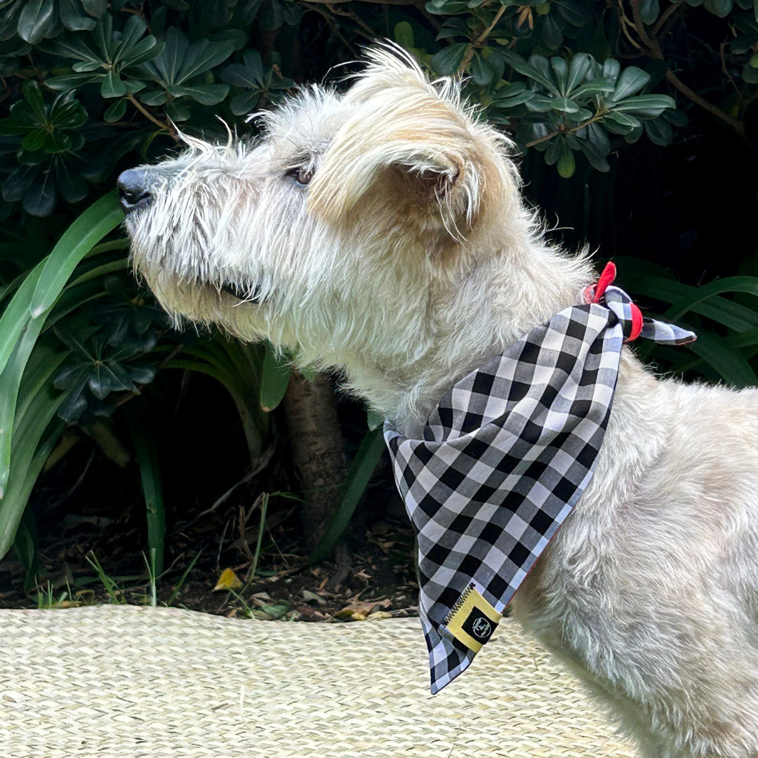 Bandana Doble cuadros